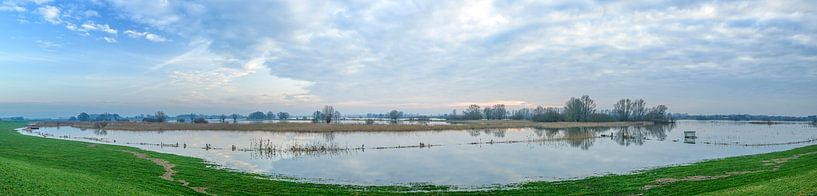 Hochwasser in den Überschwemmungsgebieten des Flusses IJssel von Sjoerd van der Wal Fotografie