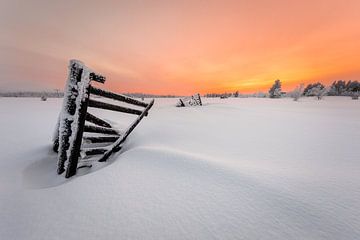 Zweeds winterlandschap met zonsondergang