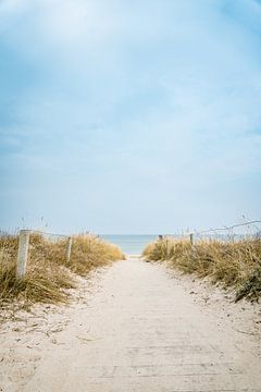 Strandzugang Ostseebad Baabe durch die Dünen ans Meer