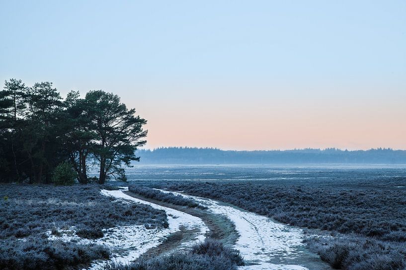 Lande de Ginkelse en hiver par Tim Annink