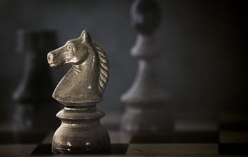 Schach - Das Spiel der Könige von Thomas Marx