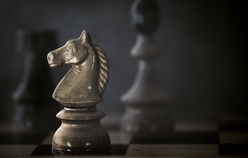 Schach - Das Spiel der Könige von Thomas Marx
