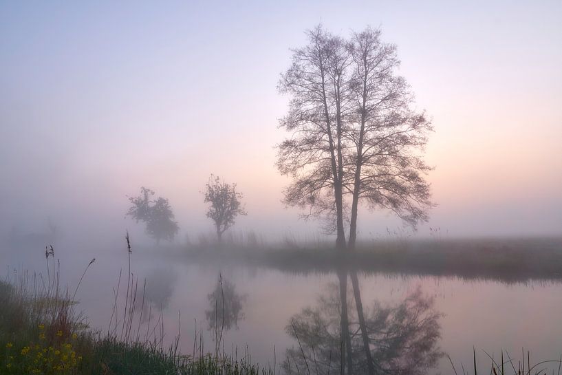 Sunrise and fog by the water by Ad Jekel