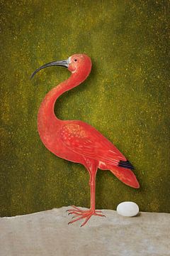 Surinaamsche Flamingo, digitale bewerking van MinaMaria