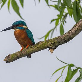 Casper Boon Profile picture