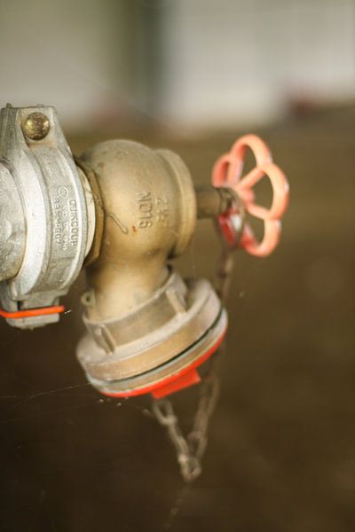 Fire von Leonie Versantvoort