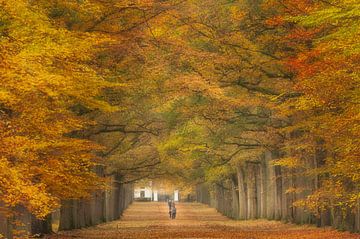  Autumn walk......