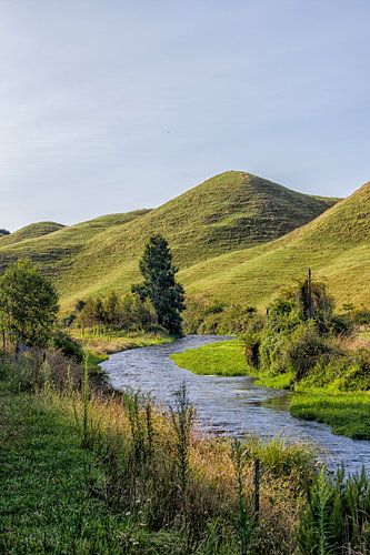 Un charmant paysage près de Potaruru, en Nouvelle-Zélande.
