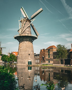 Mühle in Schiedam