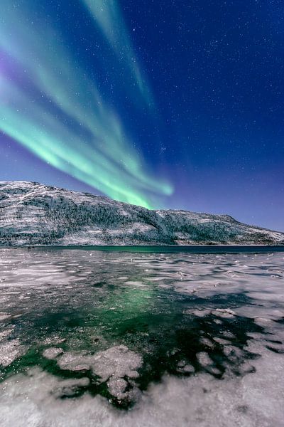 Aurora Northern Polar light in night sky over Northern Norway by Sjoerd van der Wal Photography