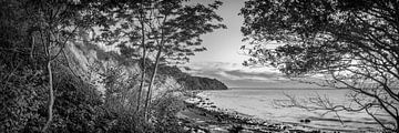 Falaises et plage de la mer Baltique en noir et blanc. sur Manfred Voss, Schwarz-weiss Fotografie