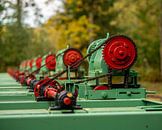 Motoren im Wald ( Waterloopbos ) von Wouter van Agtmaal Miniaturansicht