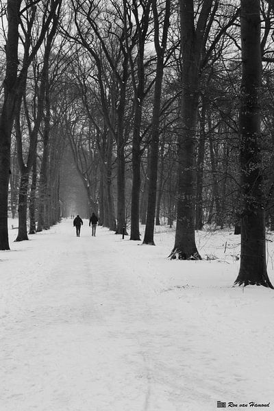 Winter by VH photoart