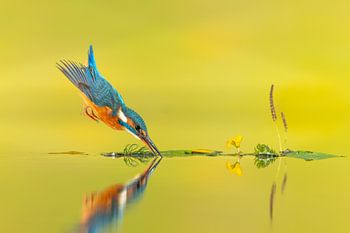 In aller Zen-Einfachheit ...