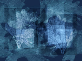 Minimalistische, abstrakte botanische Kunst in Blau. Der Tanz der Blätter von Dina Dankers