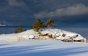 Winter am Fjord, Norwegen