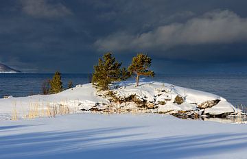 Winter aan de fjord, Noorwegen van Adelheid Smitt