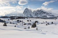 L'hiver sur l'Alpe de Siusi