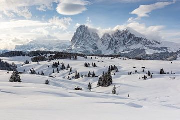 Winter op de Alpe di Siusi van Michael Valjak