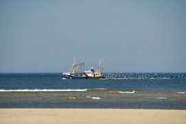 Shrimp cutter followed by seagulls by Ad Jekel