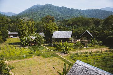 Ecofarm en School in Khao Sok: Educatie en Duurzaamheid Hand in Hand van Ken Tempelers