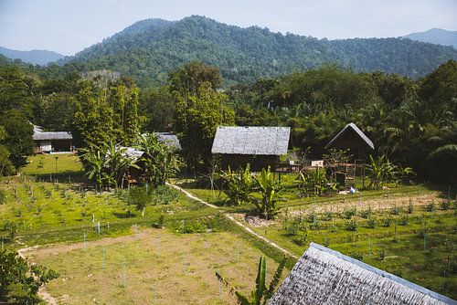 Ecofarm en School in Khao Sok: Educatie en Duurzaamheid Hand in Hand