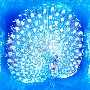 Japanischer Pfau auf Blau