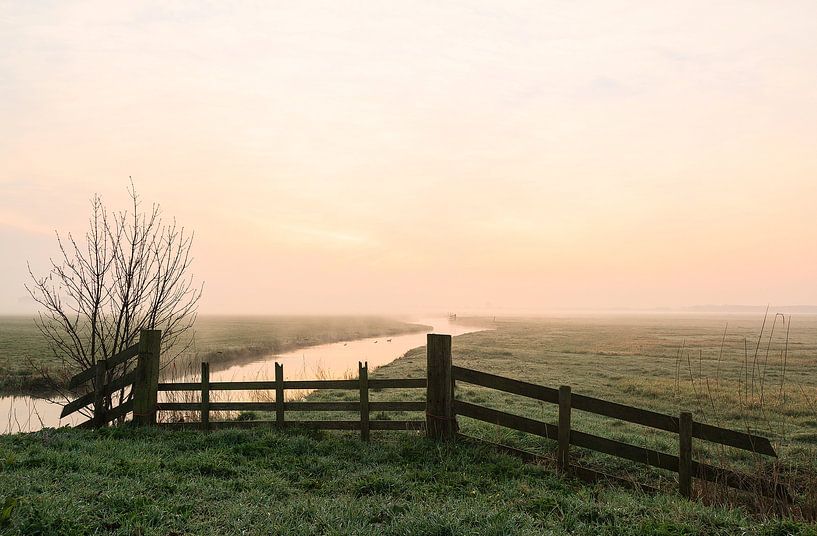 Ochtendgloren in een weiland bij Joure von Piebe van den Berg