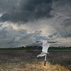 Hollands landschap - Akker met vogelverschrikker in Zeeland van Hannie Kassenaar