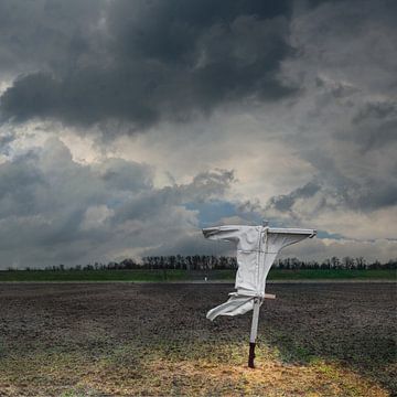 Hollands landschap - Akker met vogelverschrikker in Zeeland
