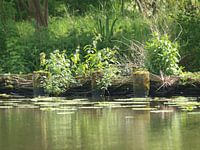 Langs de vecht 2
