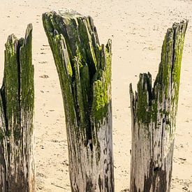 Kleurrijke groene strandpalen op een Zeeuws strand van Michel Seelen
