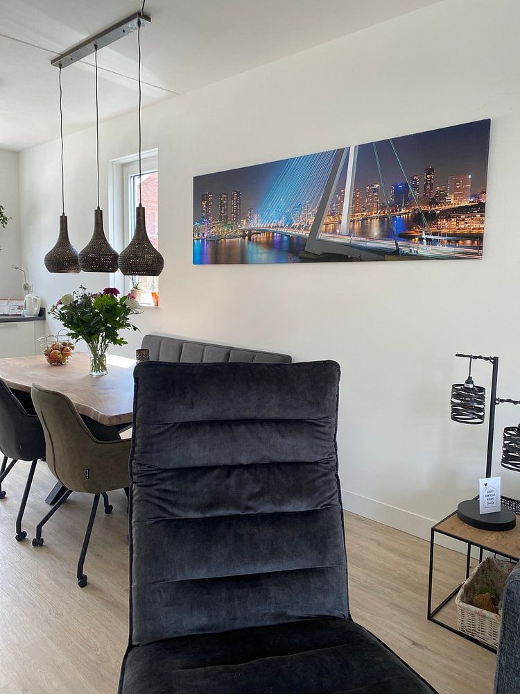 Panorama Rotterdam Erasmusbrug par Anton de Zeeuw