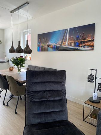 Panorama Rotterdam Erasmusbrug