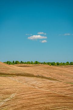 Toscane landschap van Leo Schindzielorz