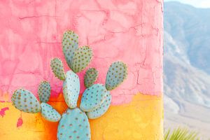 Pastellfarbener Kaktus