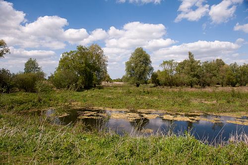 Ven in ongerepte Natuur