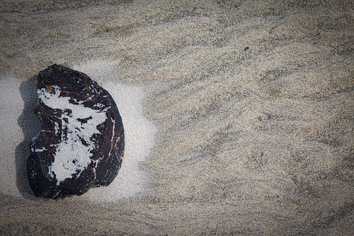 échoué sur la plage