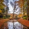 Couleurs d'automne à Paleis het Loo sur Bea Budai