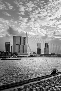 Schwanenbrücke in Rotterdam