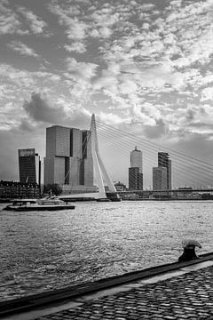 Erasmusbrug in Rotterdam van AR Photography and Beyond