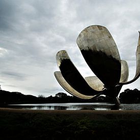 Flower van Casper Zoethout