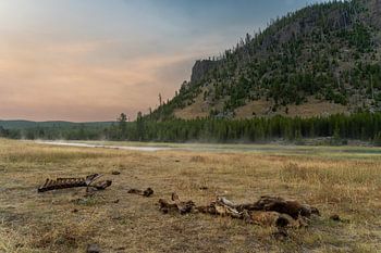 Yellowstone National Park, Sonnenaufgang am Madison River