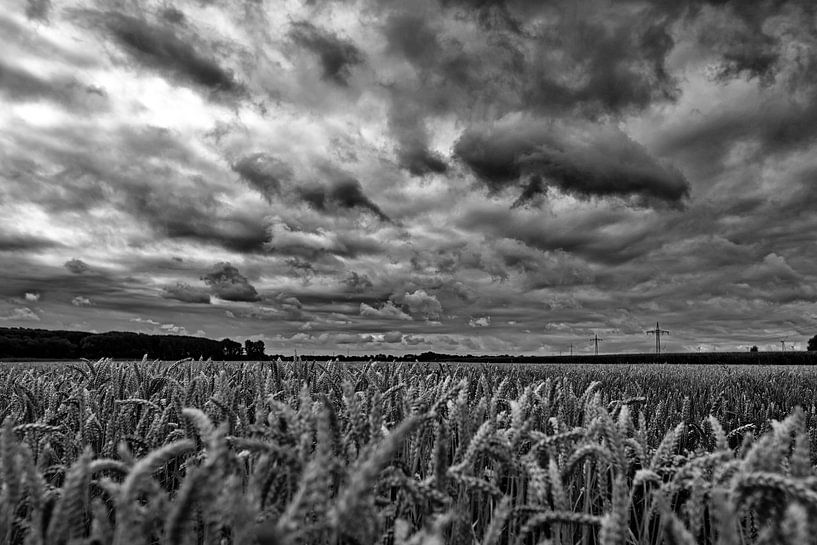 Gereidefeld by Christian Harms