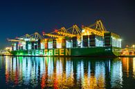 Containerschip Ever Alp aangemeerd bij de containerterminal van Sjoerd van der Wal Fotografie thumbnail