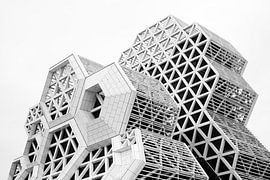 Abstract architecture in black and white: the futuristic honeycomb structures of the Kaohsiung Music Centre by NZME Photography