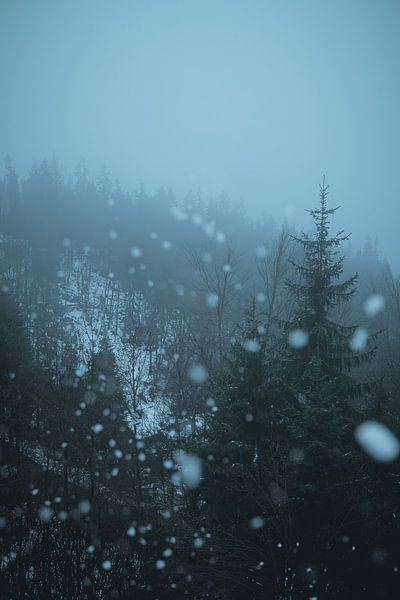 Winter Vibes by Hello Pompoyo