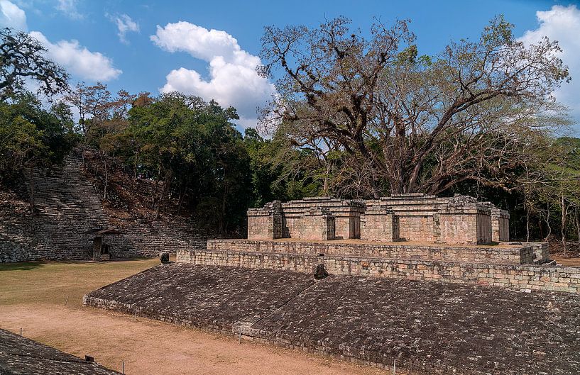 Honduras: Copán (Los Sapos) by Maarten Verhees