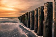 Terugtrekkend water by Alex Riemslag thumbnail