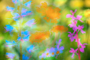 Blumen in Neonfarben